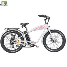 Fat Tire Electric Bike From China Alloy Electric Bicycle Lithium Battery Powered